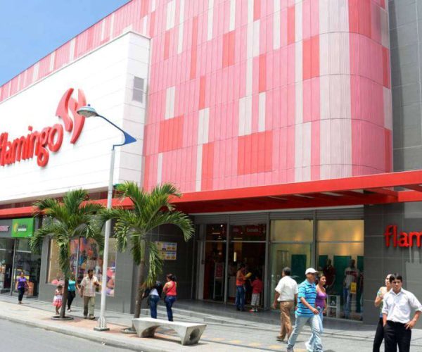 Proyectos | PC Mejía